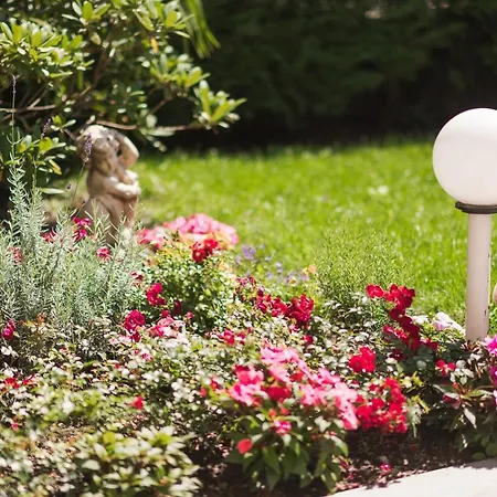 Desiree Classic & Design